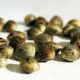 What is the difference between cannabis seeds from Colombia