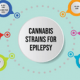 Как марихуана помогает при эпилепсии