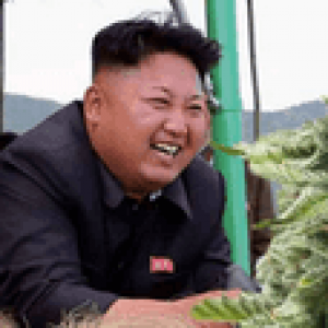 Пхеньян - предшественник Амстердама, марихуана в Северной Корее не очень сильна.>