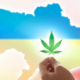 Hemp industry in Ukraine - current state and prospects