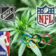 Medical use of cannabis in contact sports