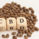 Hemp seeds high in CBD (CBD)