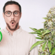 The fastest marijuana strains from autoflowers and photoperiods