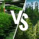 Growing cannabis outdoors and indoors: pros and cons