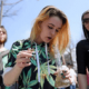 Как в Грузии два года марихуану «легализировали»