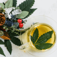 Здоровые способы наслаждаться каннабисом: от вейпинга до травяного чая