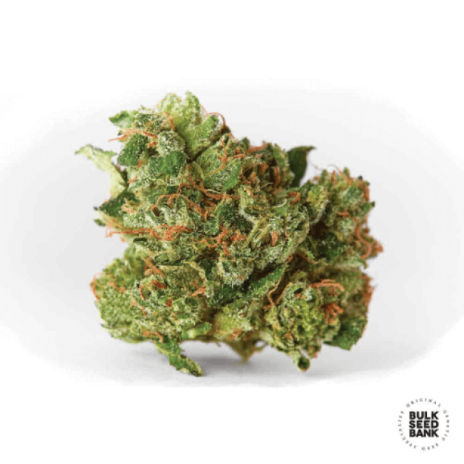 Эффект и вкус Afghan Kush, Особенности сорта, Происхождение и применение в медицине