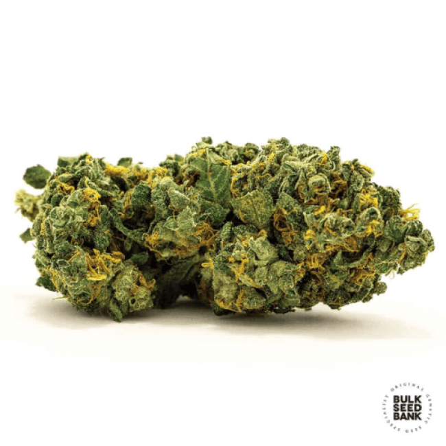 Семена конопли Auto Grande Crack feminized BulkSeedBank
