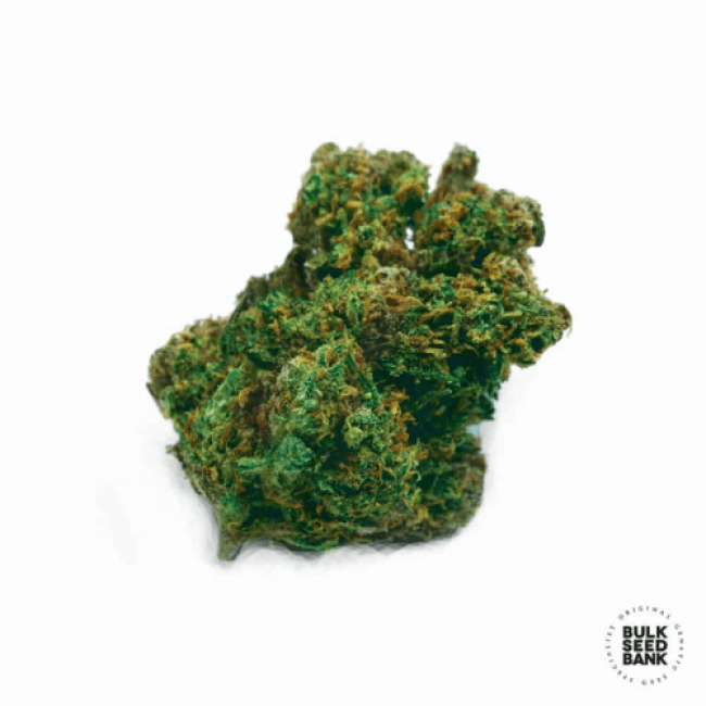 Насіння конопель Auto Lime Skunk feminized