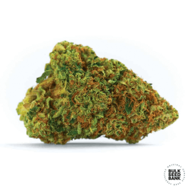 Семена конопли Auto Psychedelic feminized BulkSeedBank