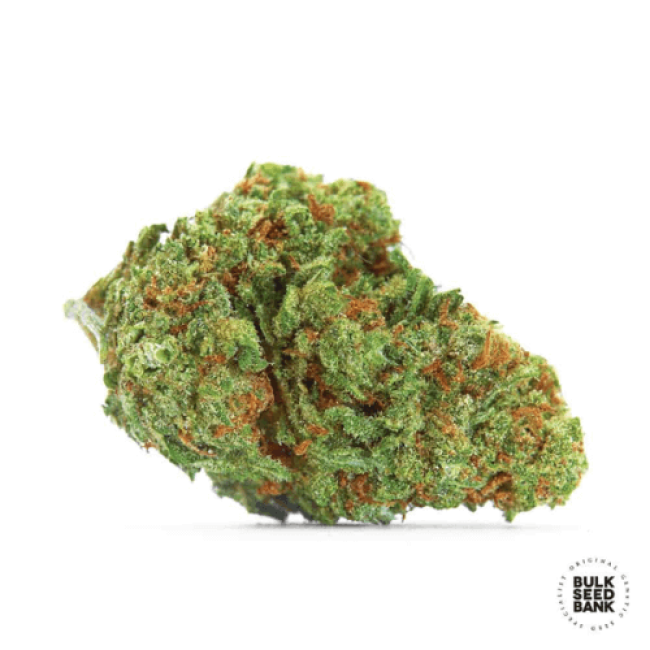 Насіння конопель Auto Sour Diesel feminized