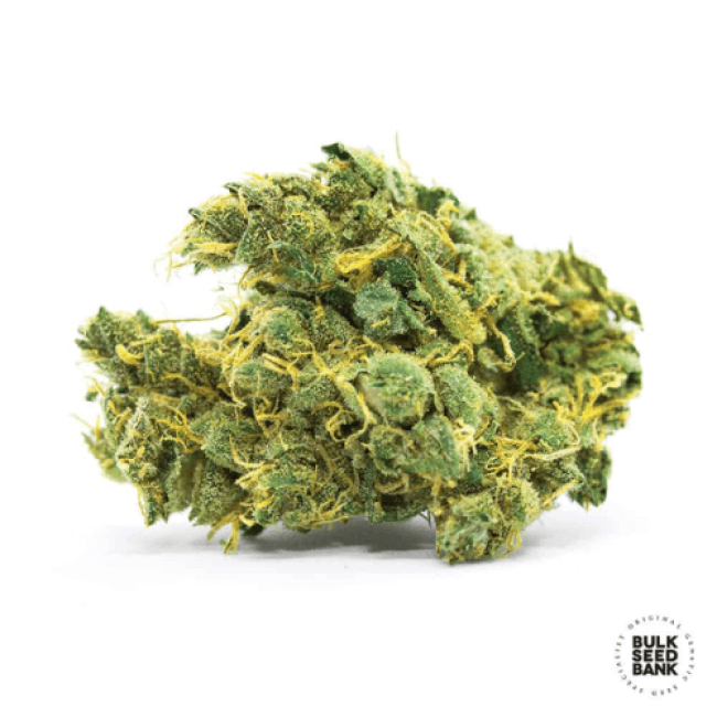 Семена конопли Banana Monkey feminized BulkSeedBank