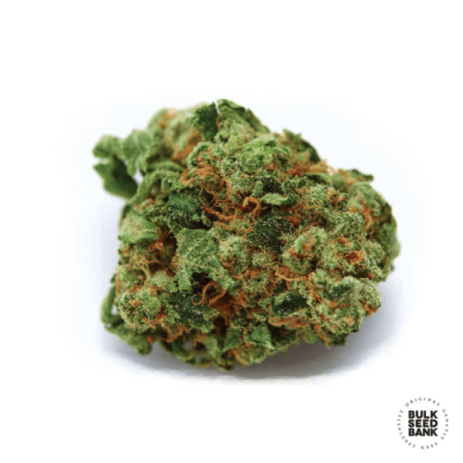 Насіння конопель BIGGER BUD BulkSeedBank