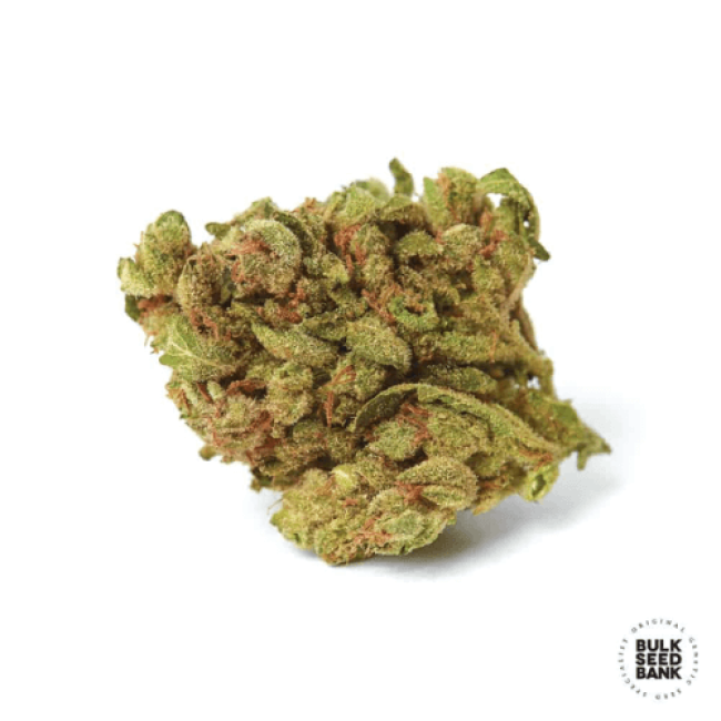 Насіння коноплі Bubblegum Extra feminized BulkSeedBank