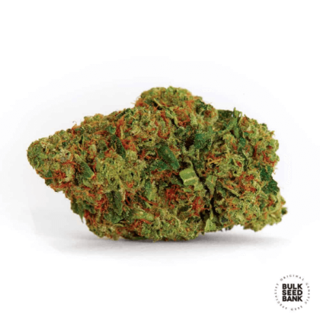 Насіння коноплі Dark Domina feminized BulkSeedBank