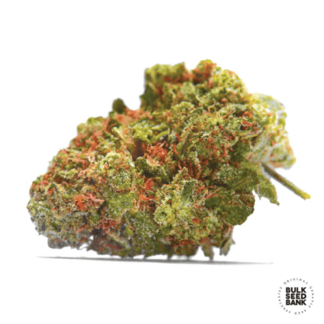 Семена конопли Euforia Special feminized BulkSeedBank