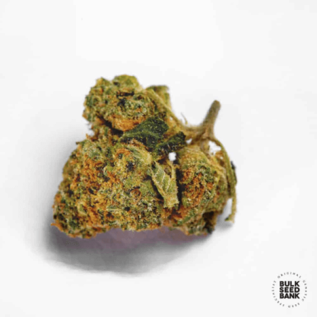 Насіння коноплі Green Candy feminized BulkSeedBank