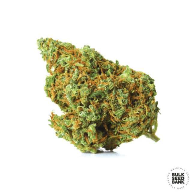 Семена конопли Moby Big feminized BulkSeedBank