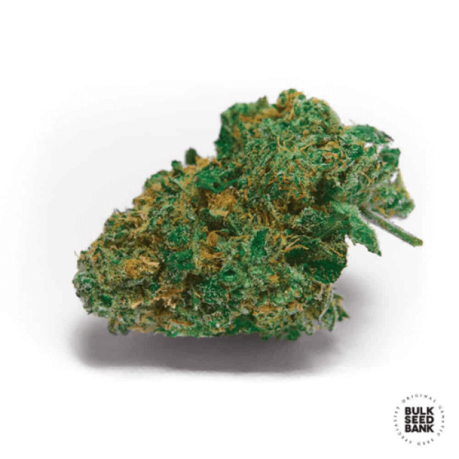 Skunk №99 feminized