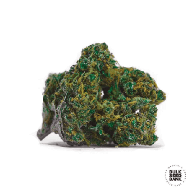 Семена конопли  Special Lime Haze feminized BulkSeedBank