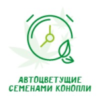Автоцветущие семена конопли Автоцветущие семена конопли