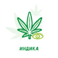 Семена конопли Индика Семена конопли Индика