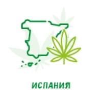 Семена конопли КБД (CBD) Семена конопли КБД (CBD)