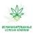 Феминизированные семена конопли