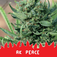 AK PEACE