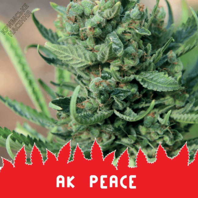 AK PEACE AK PEACE