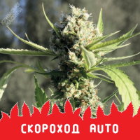 СКОРОХОД