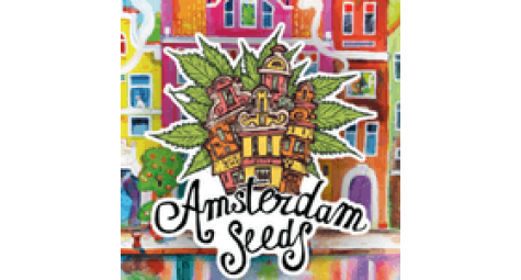 Порівняльна таблиця сортів сідбанків Amsterdam Seeds та DutchBulk Seeds