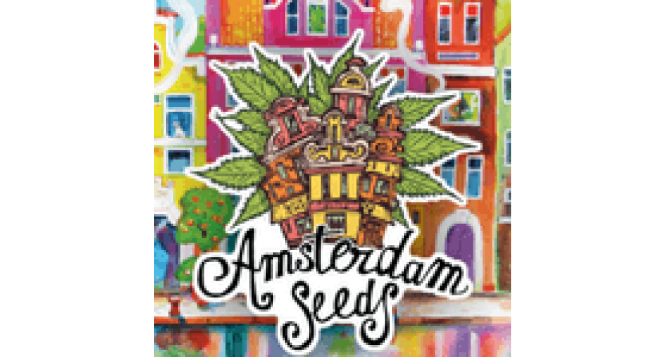 Порівняльна таблиця сортів сідбанків Amsterdam Seeds та DutchBulk Seeds