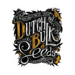 DutchBulk Seeds