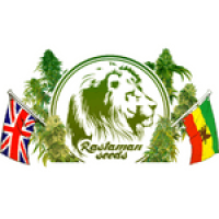 Насіння марихуани від Rastaman Seeds Насіння марихуани від Rastaman Seeds