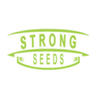 Насіння конопель Strong seeds Насіння конопель Strong seeds