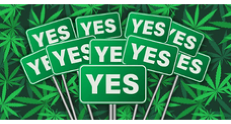 Americans defend cannabis legalization program through Facebook