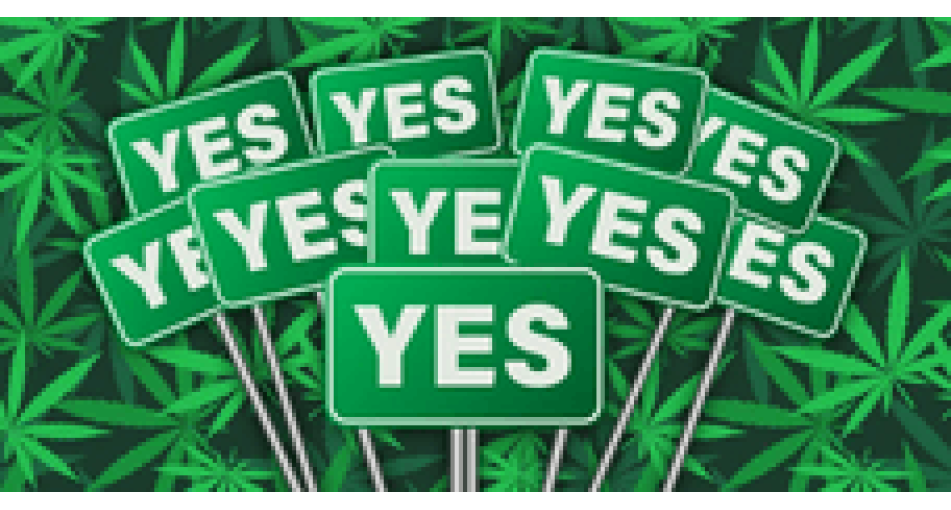 Americans defend cannabis legalization program through Facebook