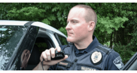 Canadian police harassed representatives of the hemp business