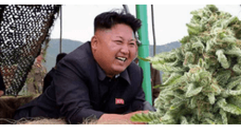 North Korea and marijuana