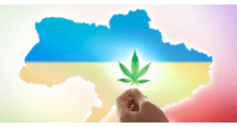 Конопляная отрасль Украины – текущее состояние и перспективы