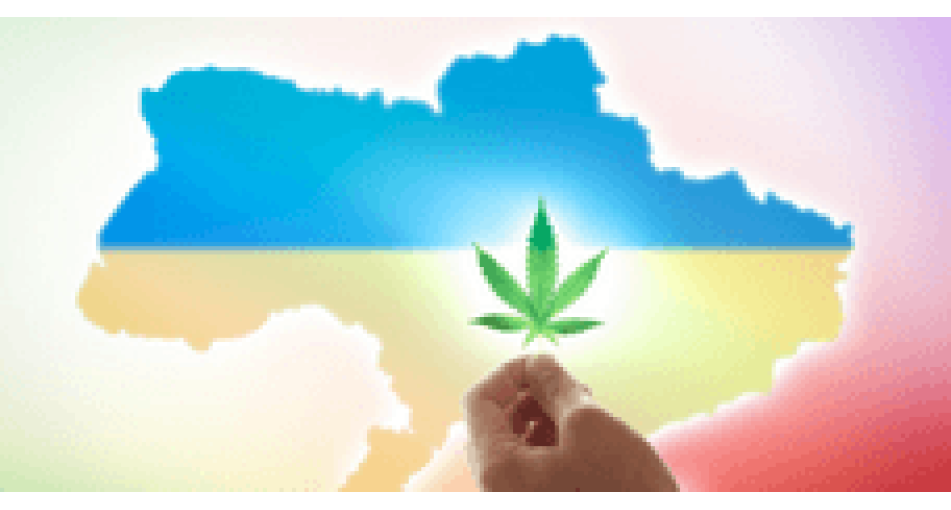 Конопляная отрасль Украины – текущее состояние и перспективы
