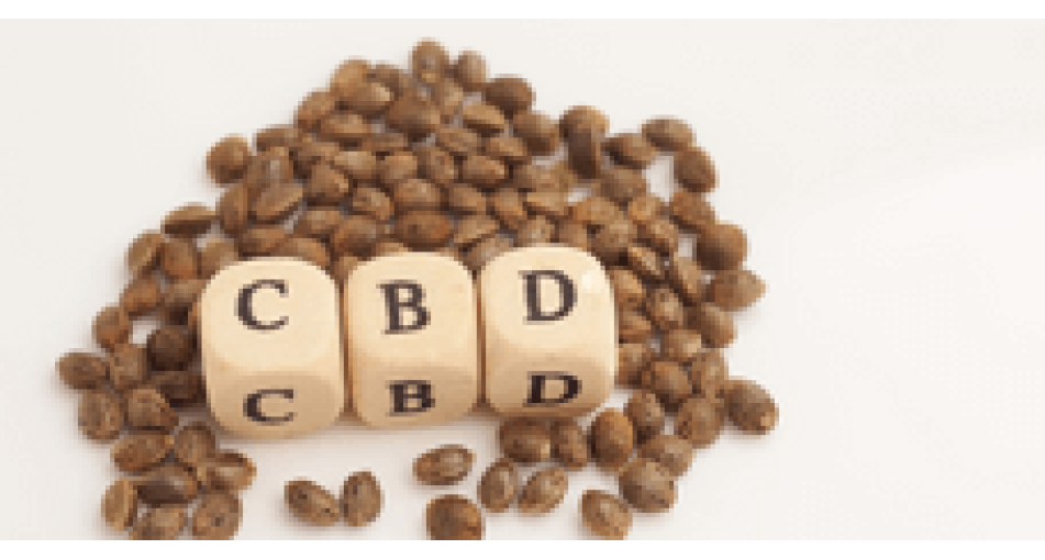 Hemp seeds high in CBD (CBD)
