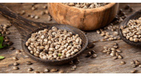 Scope of hemp seeds
