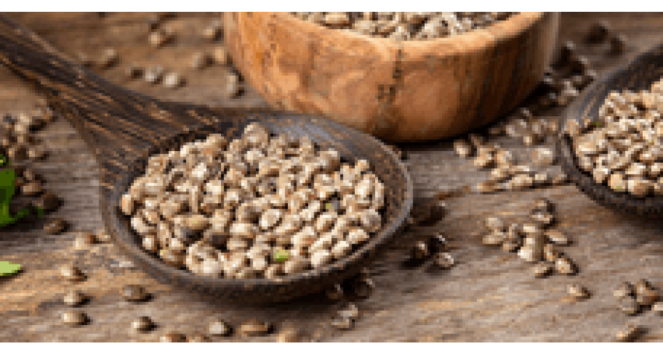 Scope of hemp seeds