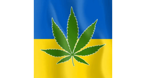 Правовий режим коноплі в Україні