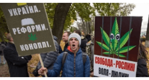 Украинские общественники будут бороться за медицинскую марихуану