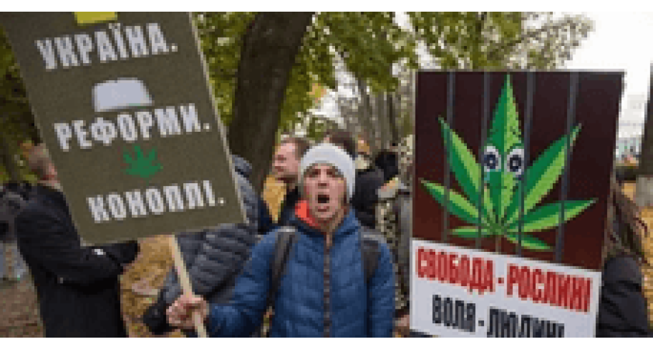 Украинские общественники будут бороться за доступ тяжелобольных к медицинской марихуане