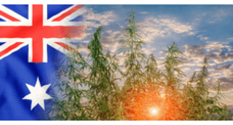 Cannabis Seed Law in Australia