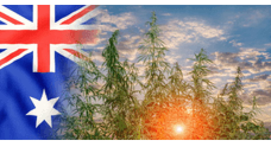 Cannabis Seed Law in Australia